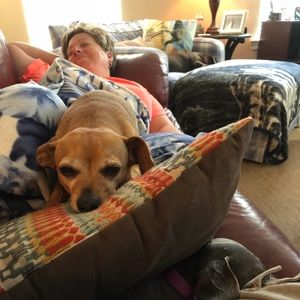 Meet your Posher, Teresa